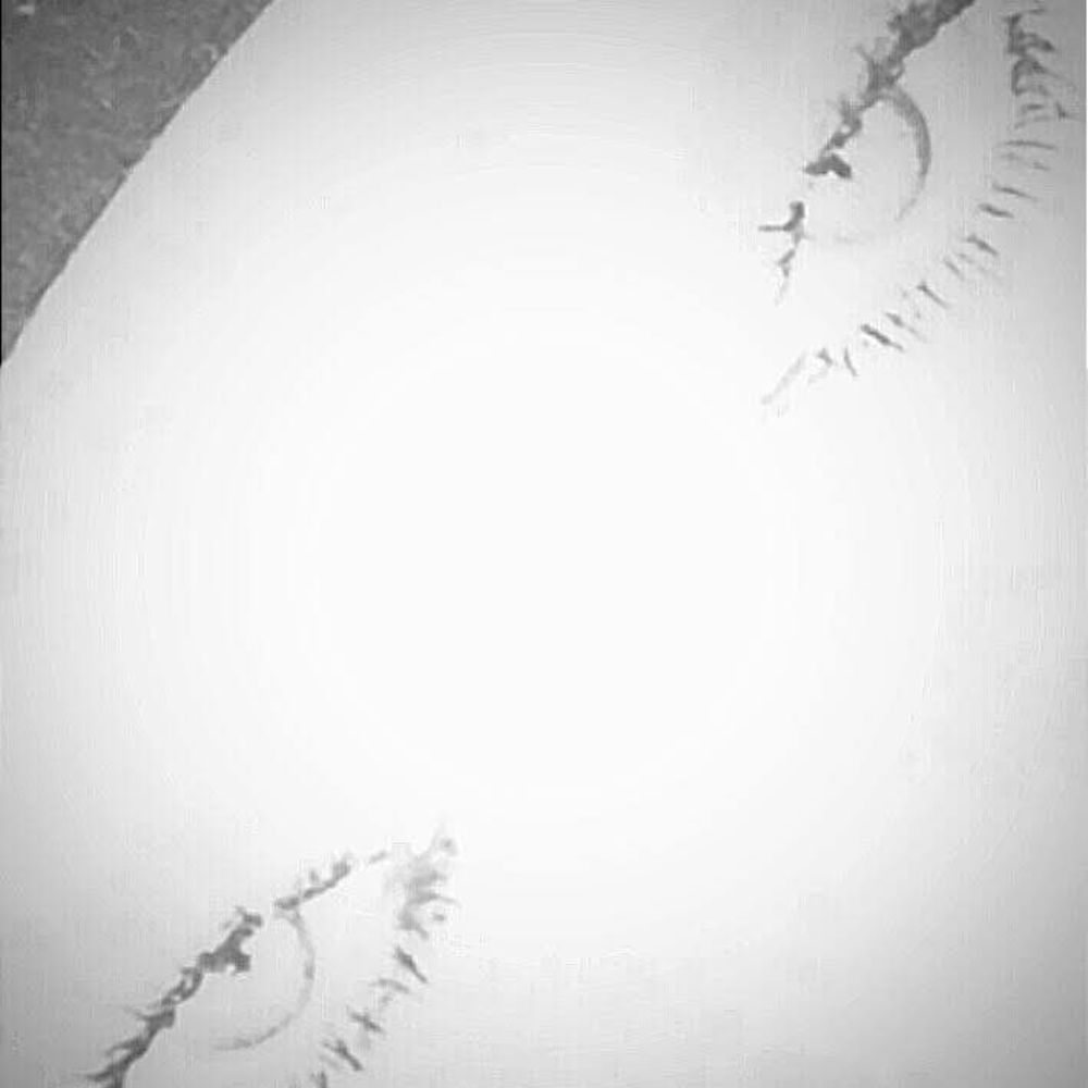 Meet your Posher, Rhonda